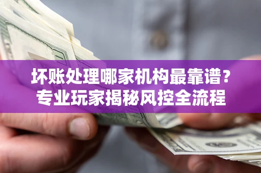 武汉坏账处理哪家机构最靠谱？专业玩家揭秘风控全流程