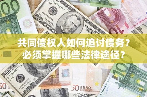 武汉共同债权人如何追讨债务？必须掌握哪些法律途径？