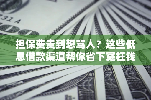 武汉担保费贵到想骂人？这些低息借款渠道帮你省下冤枉钱