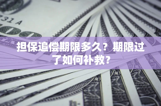 武汉担保追偿期限多久？期限过了如何补救？